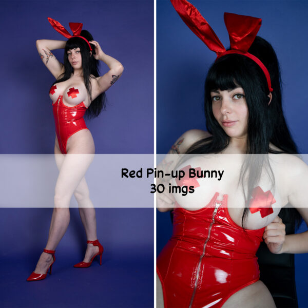 Red Pin-Up Bunny - 30 images