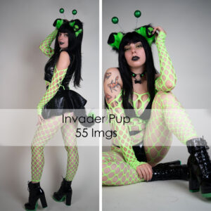 Invader Pup - 55 images